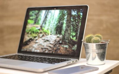 Lichfield Web Design in 2025: What Small Businesses Should Expect
